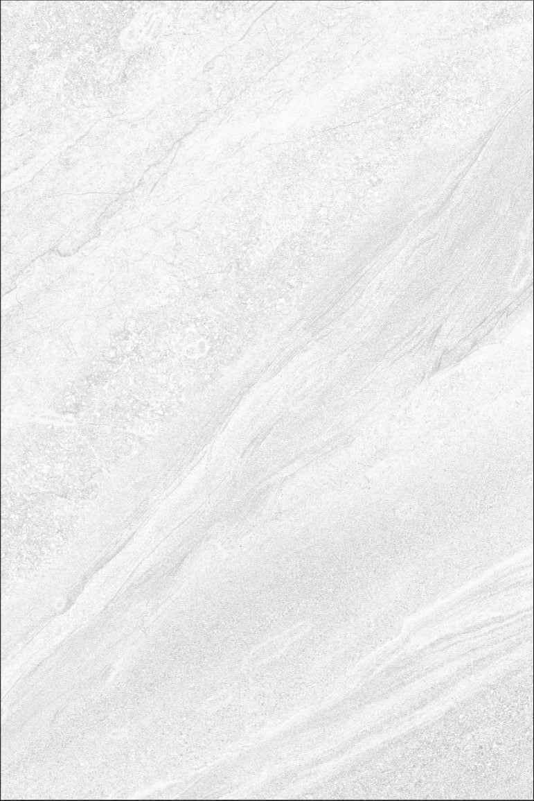 18 X County Crossover White Porcelain slabs paving tiles, 900mm x 600mm x 20mm 9.72m²